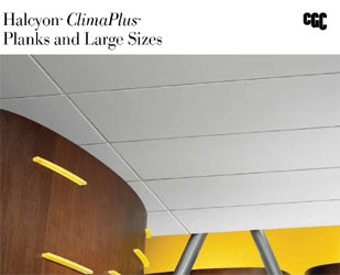 Haylcyon Climaplus Planks and Large sizes